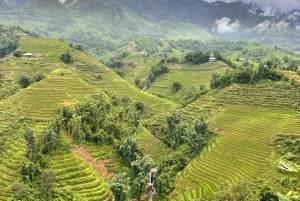 Explore Sapa by TrekkingAdventures, Mountain,Rice fields