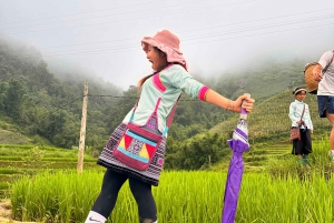 Explore Sapa by TrekkingAdventures, Mountain,Rice fields