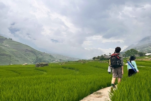 Explore Sapa by TrekkingAdventures, Mountain,Rice fields