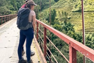 Explore Sapa by TrekkingAdventures, Mountain,Rice fields