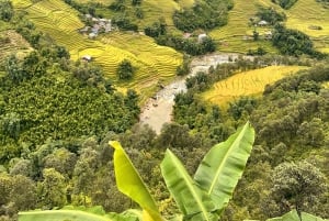 Explore Sapa by TrekkingAdventures, Mountain,Rice fields