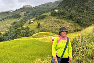 Explore Sapa by TrekkingAdventures, Mountain,Rice fields