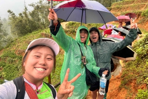 Explore Sapa by TrekkingAdventures, Mountain,Rice fields