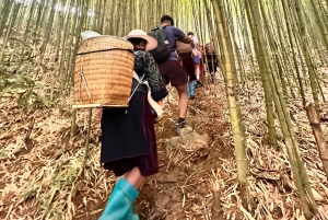 Explore Sapa by TrekkingAdventures, Mountain,Rice fields