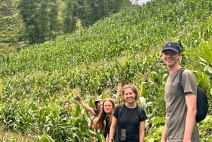 Explore Sapa by TrekkingAdventures, Mountain,Rice fields