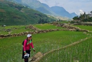 Explore Sapa by TrekkingAdventures, Mountain,Rice fields