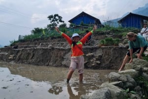 Explore Sapa by TrekkingAdventures, Mountain,Rice fields