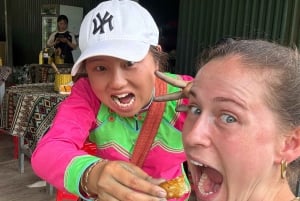 Explore Sapa by TrekkingAdventures, Mountain,Rice fields