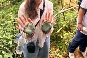 Explore Sapa by TrekkingAdventures, Mountain,Rice fields