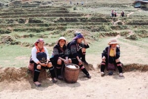 Explore Sapa by TrekkingAdventures, Mountain,Rice fields