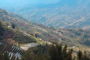 Explore Sapa by TrekkingAdventures, Mountain,Rice fields