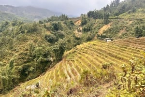 Explore Sapa by TrekkingAdventures, Mountain,Rice fields