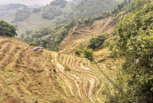 Explore Sapa by TrekkingAdventures, Mountain,Rice fields