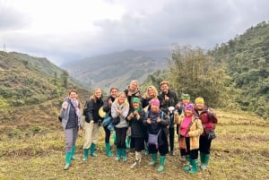 Explore Sapa by TrekkingAdventures, Mountain,Rice fields
