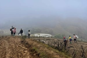Explore Sapa by TrekkingAdventures, Mountain,Rice fields