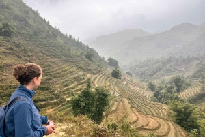 Explore Sapa by TrekkingAdventures, Mountain,Rice fields