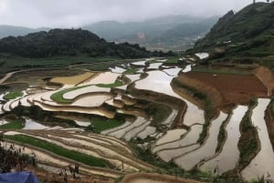 Explore Sapa by TrekkingAdventures, Mountain,Rice fields