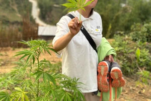 Explore Sapa by TrekkingAdventures, Mountain,Rice fields