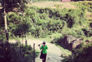 Explore Sapa by TrekkingAdventures, Mountain,Rice fields