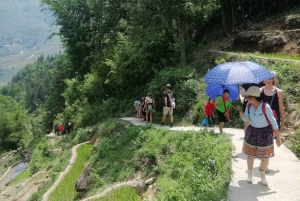 Explore Sapa by TrekkingAdventures, Mountain,Rice fields