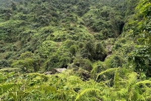 Explore Sapa by TrekkingAdventures, Mountain,Rice fields