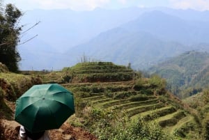 Explore Sapa by TrekkingAdventures, Mountain,Rice fields