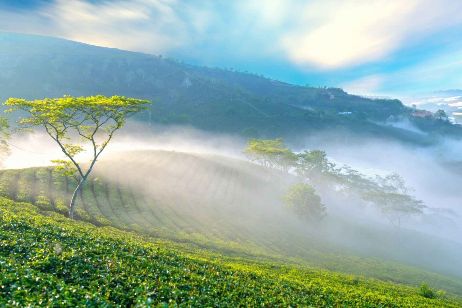 Explore the Best of Dalat’s Countryside Tour (Private Car)