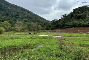 Explore the Chu Yang Sin National Park