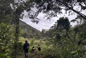 Explore the Chu Yang Sin National Park
