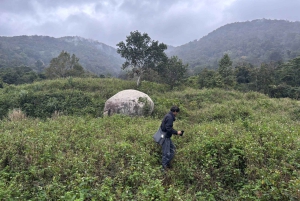 Explore the Chu Yang Sin National Park