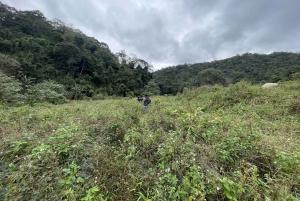 Explore the Chu Yang Sin National Park