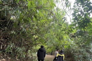 Explore the Chu Yang Sin National Park