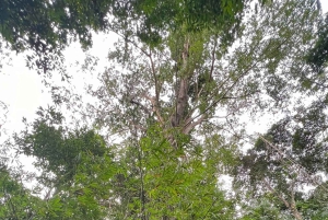 Explore the Chu Yang Sin National Park