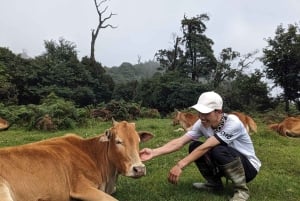 Explora las maravillas naturales de Sa Pa en coche: tour de medio día
