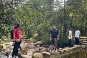 Explora las maravillas naturales de Sa Pa en coche: tour de medio día
