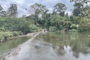 Utforsk Don Village og Yok Don nasjonalpark