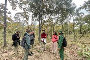 Utforsk Don Village og Yok Don nasjonalpark