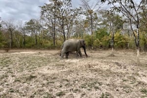 Utforsk Don Village og Yok Don nasjonalpark