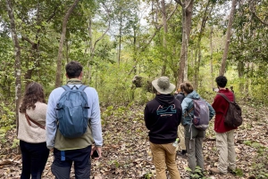 Utforsk Don Village og Yok Don nasjonalpark