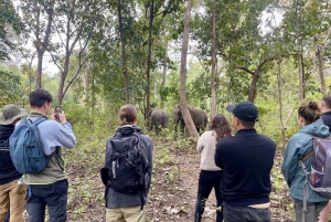 Utforsk Don Village og Yok Don nasjonalpark