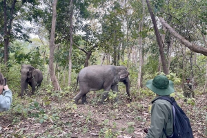 Utforsk Don Village og Yok Don nasjonalpark