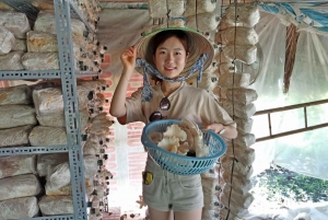 Farm-to-Table Full-Day Cooking Class & Cu Chi Tunnels