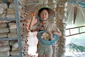 Farm-to-Table Full-Day Cooking Class & Cu Chi Tunnels