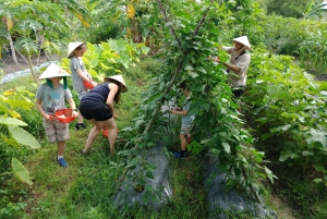 Farm-To-Table Healthy Cooking Class: Half-Day Tour
