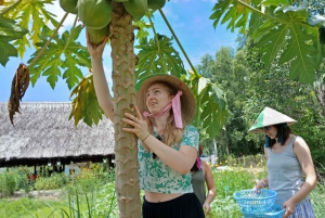 Farm-To-Table Healthy Cooking Class: Half-Day Tour