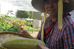 Farm-To-Table Healthy Cooking Class: Half-Day Tour