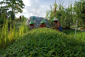 Farm-To-Table Healthy Cooking Class: Half-Day Tour