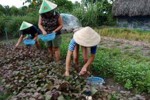 Farm-To-Table Healthy Cooking Class: Half-Day Tour