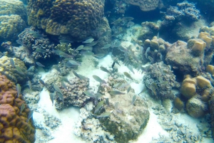 Finger Island & Dam Ngang Island Full-Day Snorkeling Tour