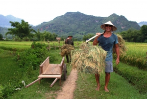 Fishing and Farming: 3-Day Trip to Mai Chau from Hanoi